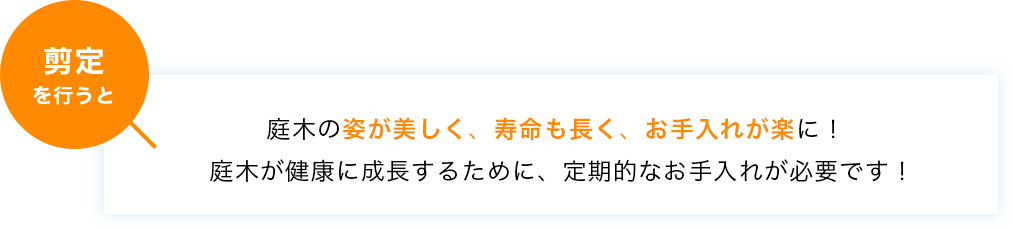 庭木の姿が美しく、寿命も長く、お手入れが楽に！庭木が健康に成長するために、定期的なお手入れが必要です！