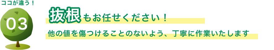 抜根もお任せください！ 他の値を傷つけることのないよう、丁寧に作業いたします